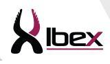 Ibex Solutions